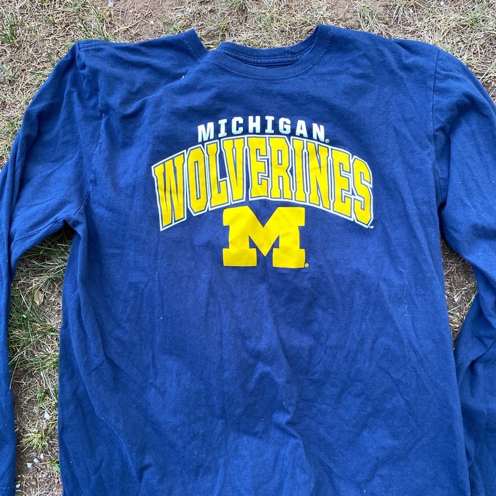 Michigan Wolverines - image 2